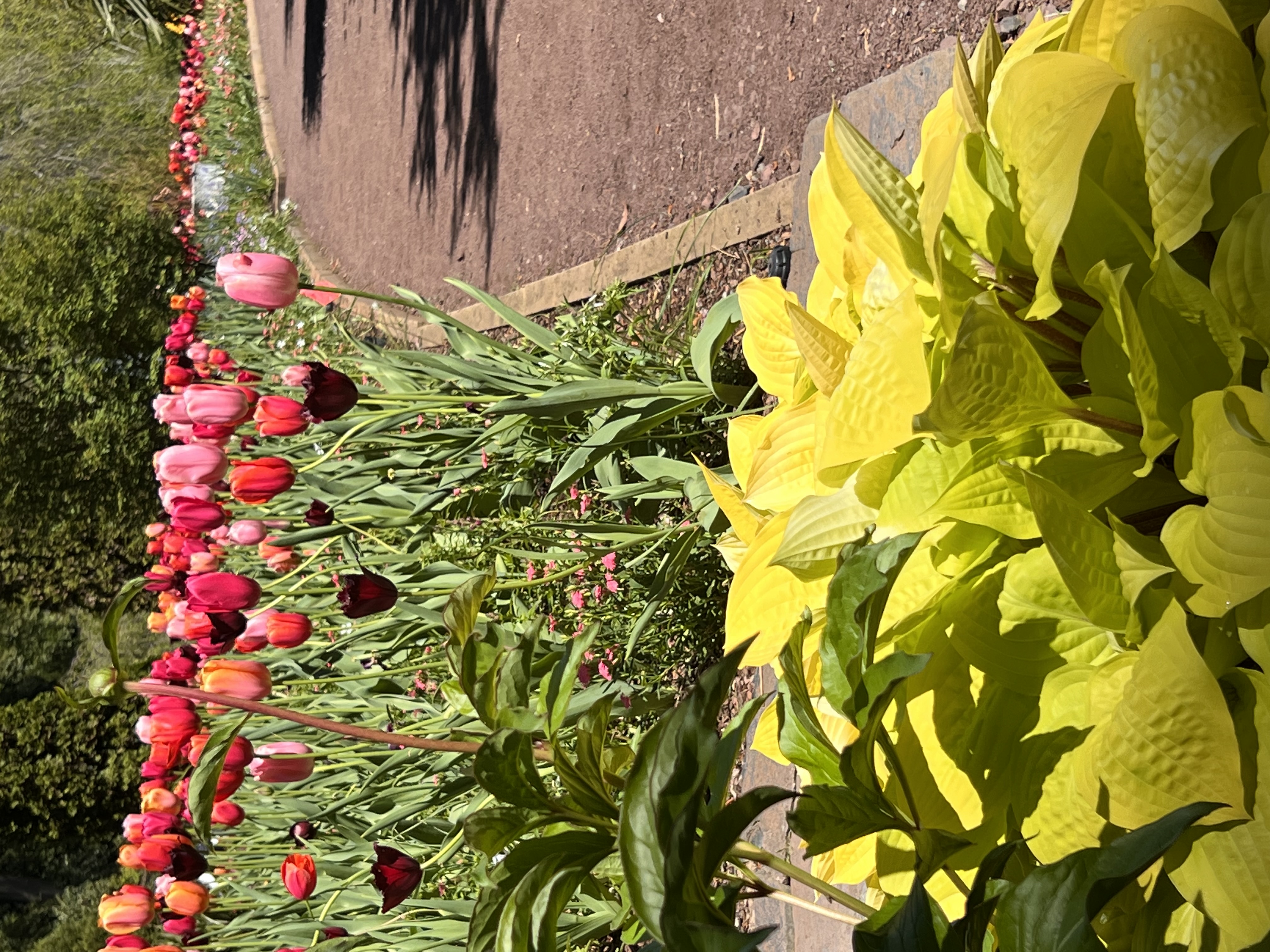 ./2023/05 - Toni Adventures/IMG_3220.JPG